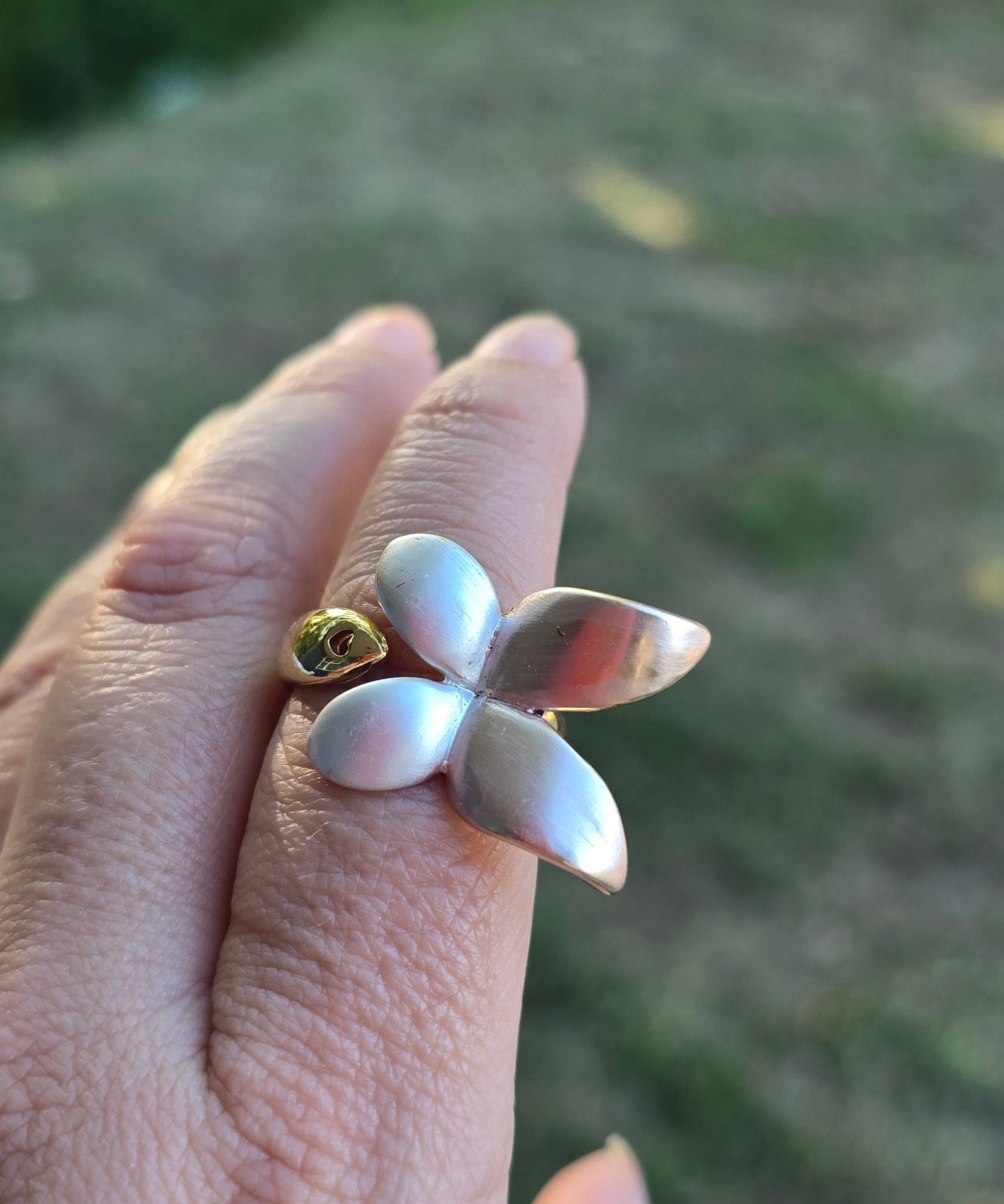 Mariposa tres tonos