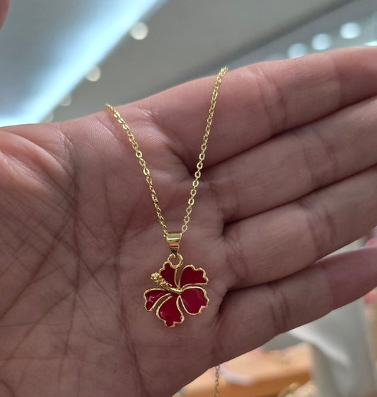 Amapola