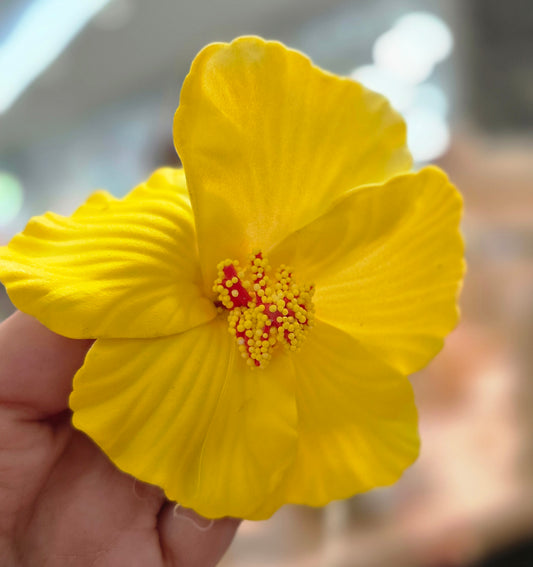 Lazo amapola amarilla